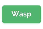 Ремонт экшен-камер Wasp