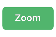 Ремонт экшен-камер Zoom